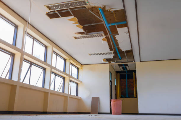 Best Local water damage restoration  in North Shore, VA