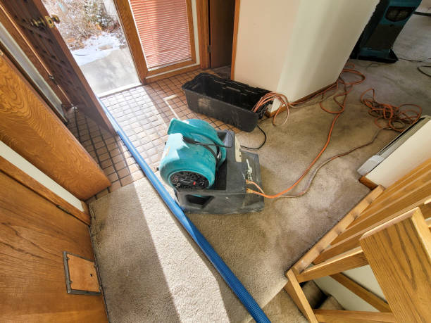 Best Water damage contractors near me  in North Shore, VA