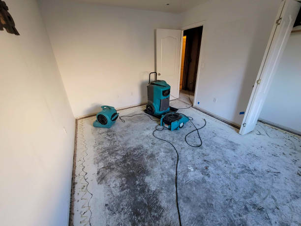 Best Professional water damage repair  in North Shore, VA