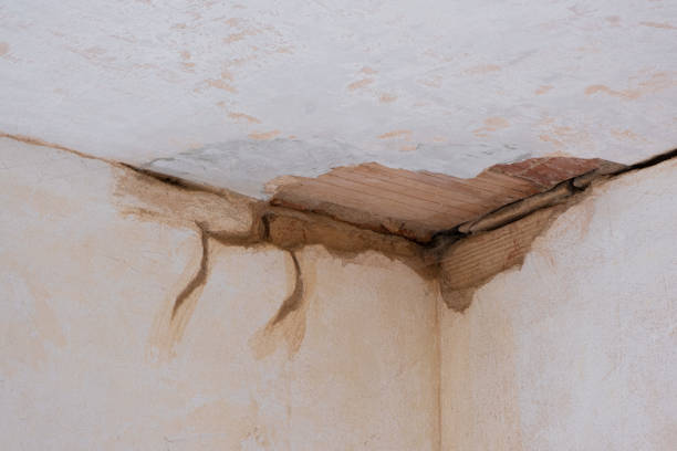 Best Fire Damage Restoration  in North Shore, VA