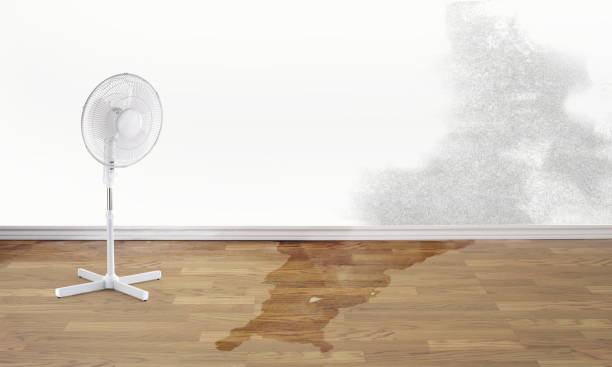 Best Fire Damage Restoration  in North Shore, VA