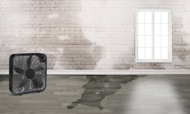 Best Water damage restoration near me  in North Shore, VA