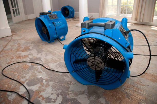 Best Basement water damage restoration  in North Shore, VA