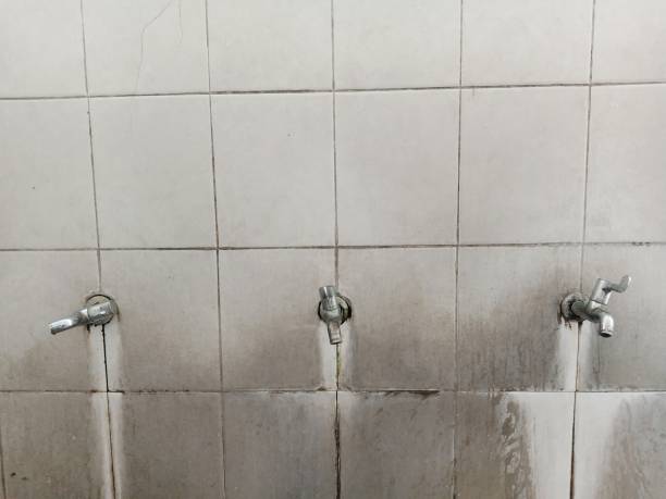 Best Local water damage restoration  in North Shore, VA