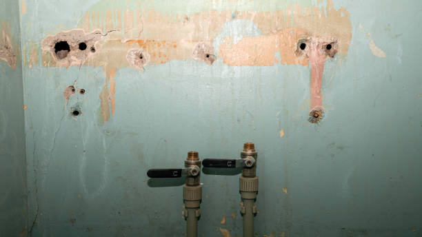 Best Water damage mitigation services  in North Shore, VA