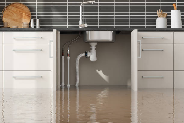  North Shore, VA Water damage restoration Pros