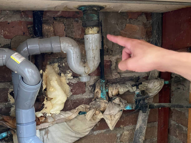 Best Water damage contractors near me  in North Shore, VA